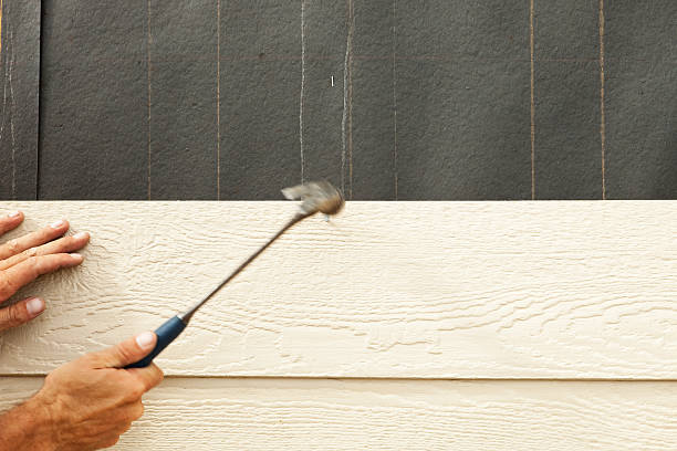 Trusted Hamilton, IN Siding Experts